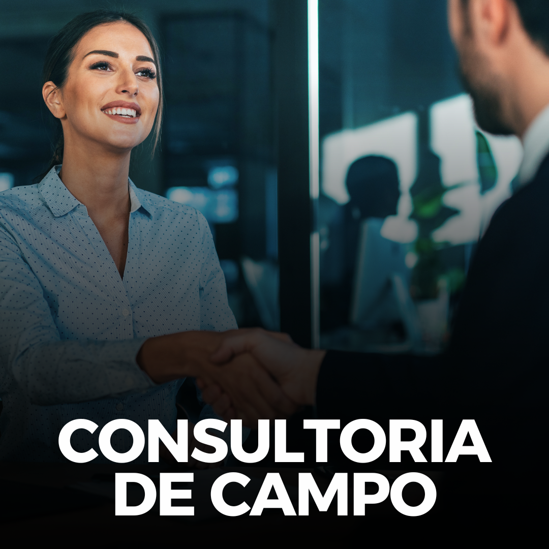 Consultoria de Campo